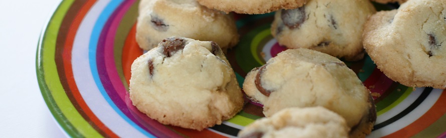 Gluten-free Chocolate Chip Masthead